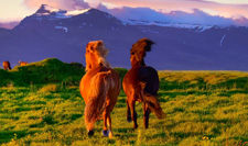 Iceland-Northern Tours-Midnight Sun Ride